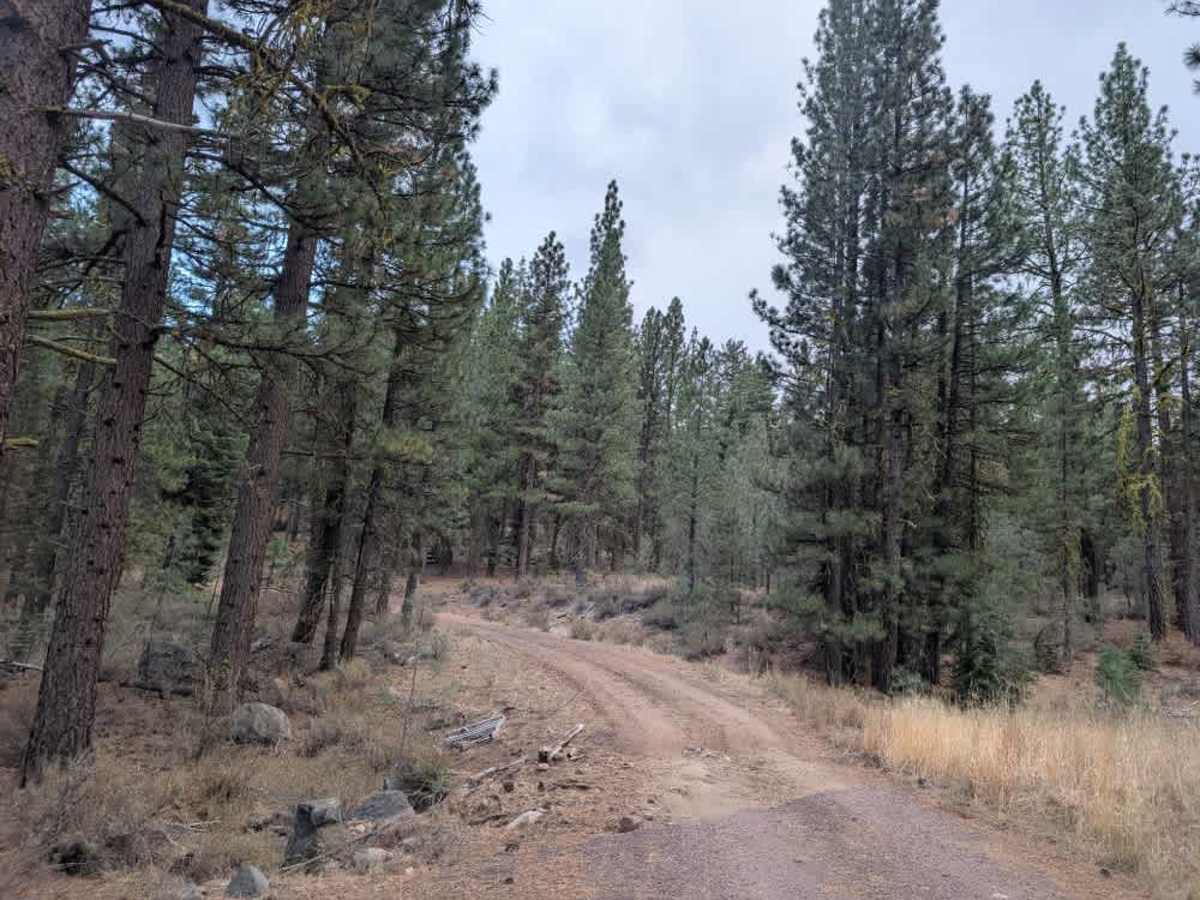 FS 30N82 trail photo