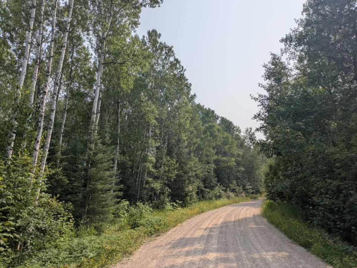 FS 467 trail photo