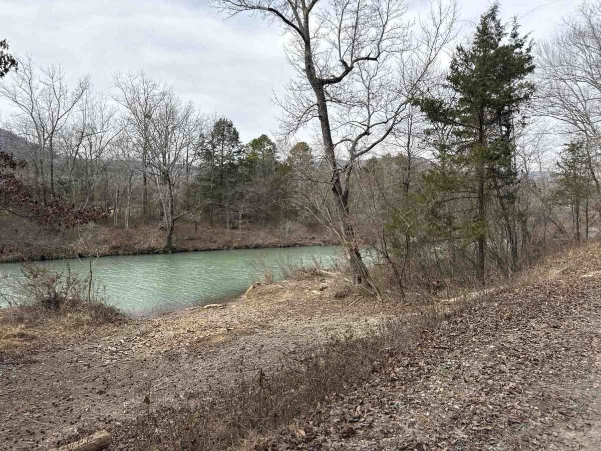 Jakes Creek Road photo 3