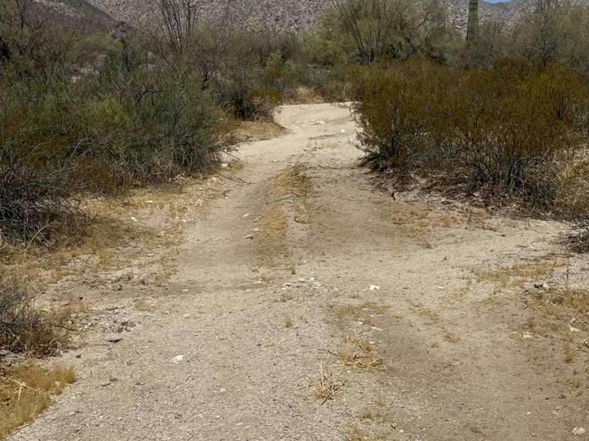 Dirty Wash  trail photo