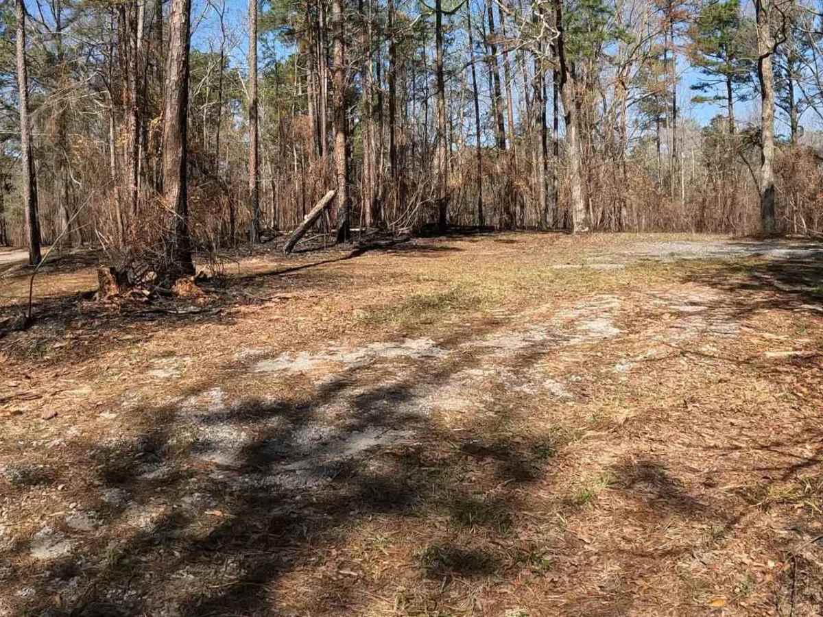 Vick Road - FS 412 photo 6