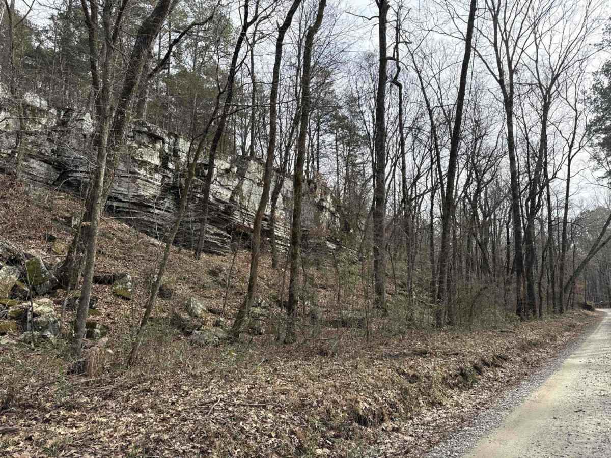Jakes Creek Road photo 4