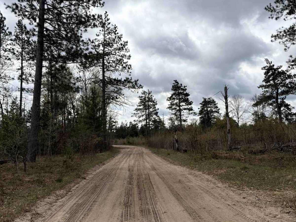 Tank trail photo 4