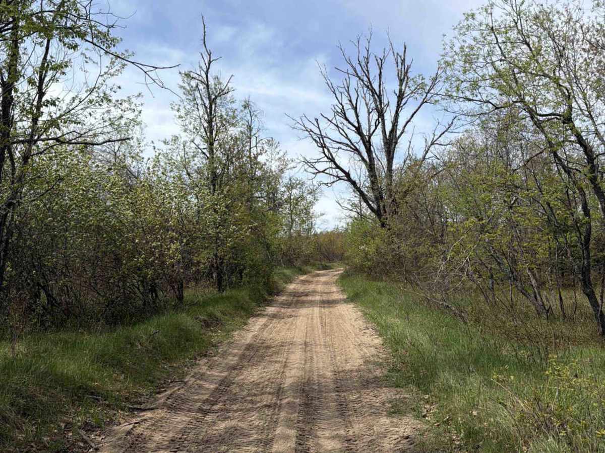Big Oaks photo 2