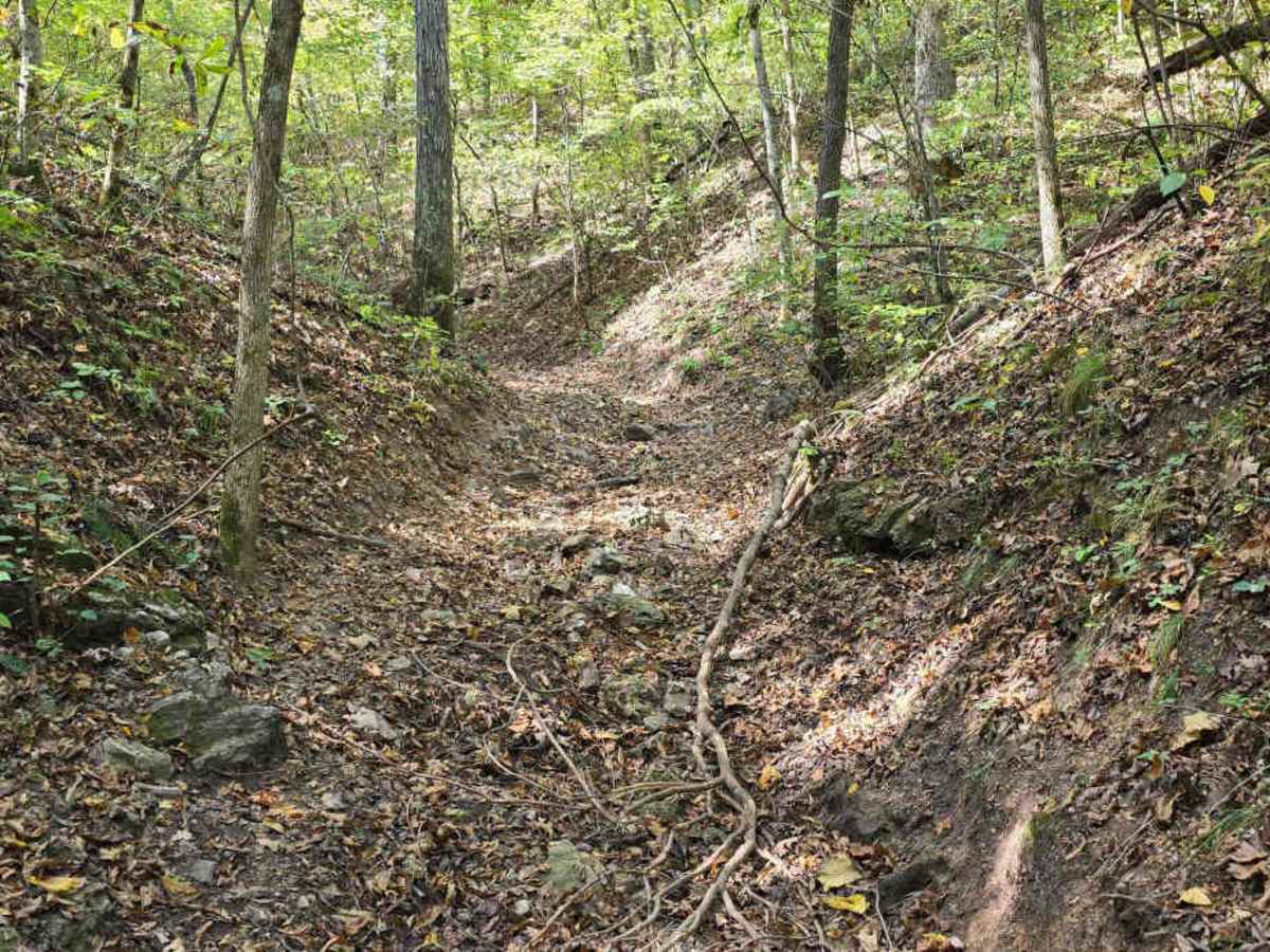High Horse trail photo