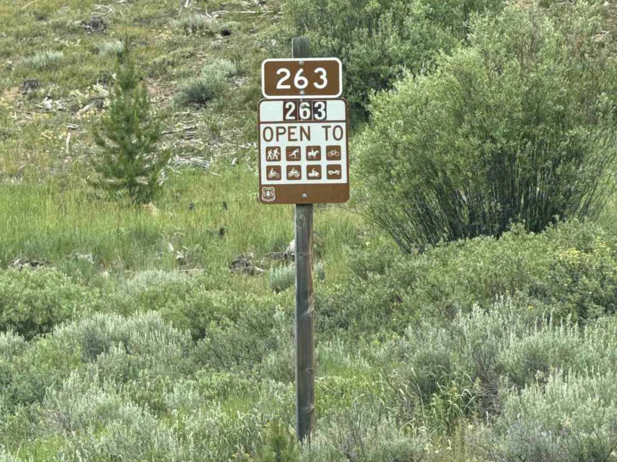 High Rock Creek Road - FS 263 photo 4