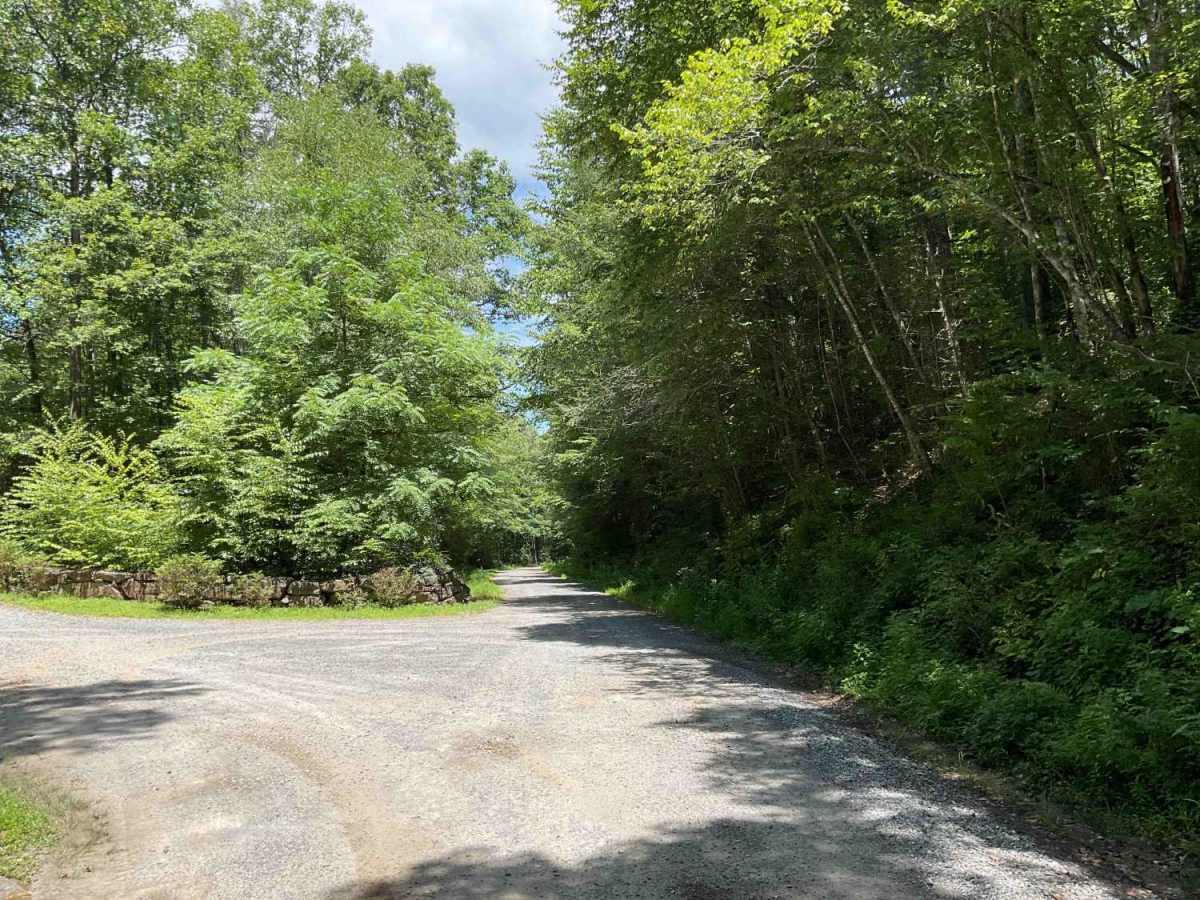 Beech Creek Road - FS 307 trail photo