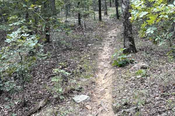 Keola Run