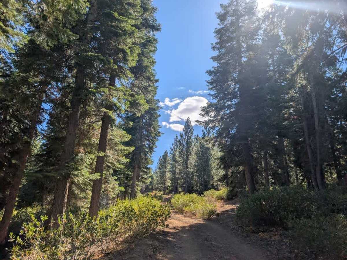FS 26N29 trail photo
