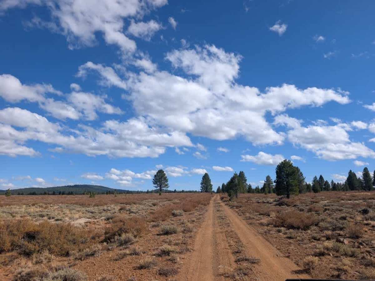 FS 31N06 trail photo