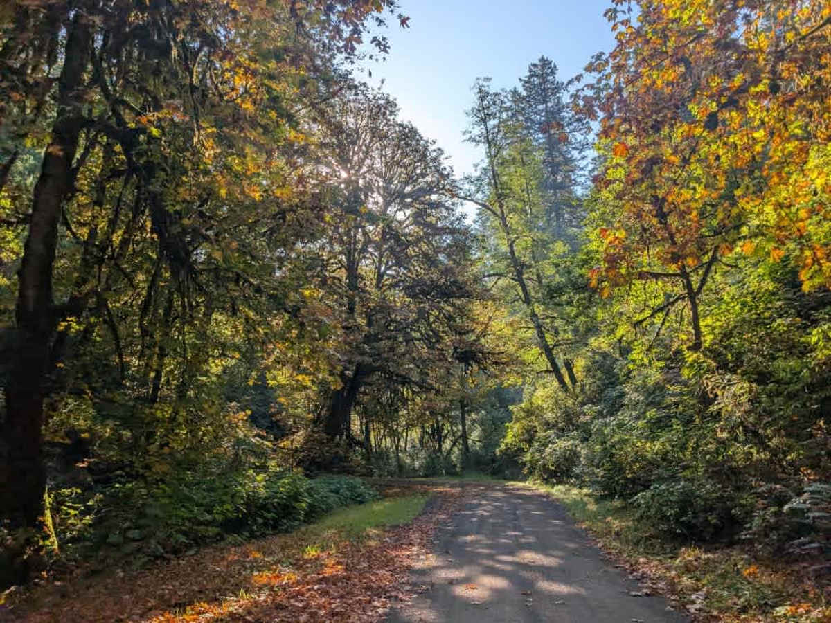 FS 5070 trail photo