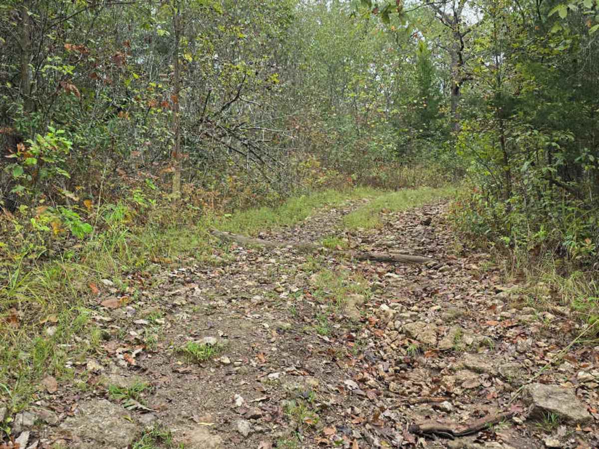 Chimney Trail Bypass photo 3