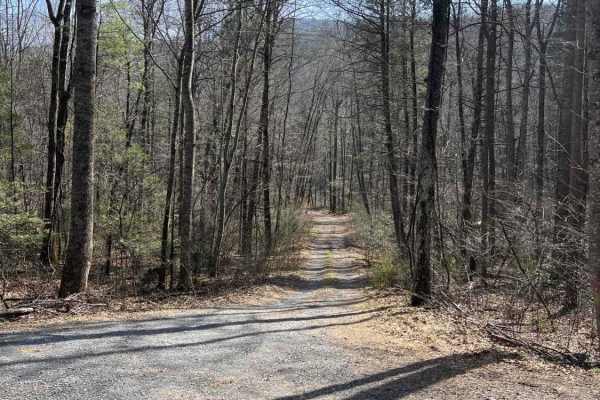 Briery Branch Trail - FS 924