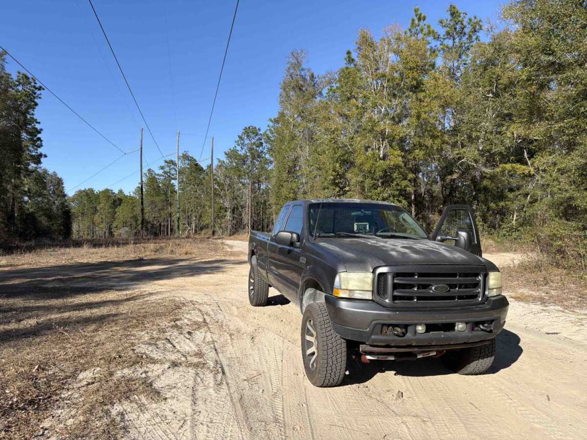Springhill Cut-Off - FS 317 photo 6