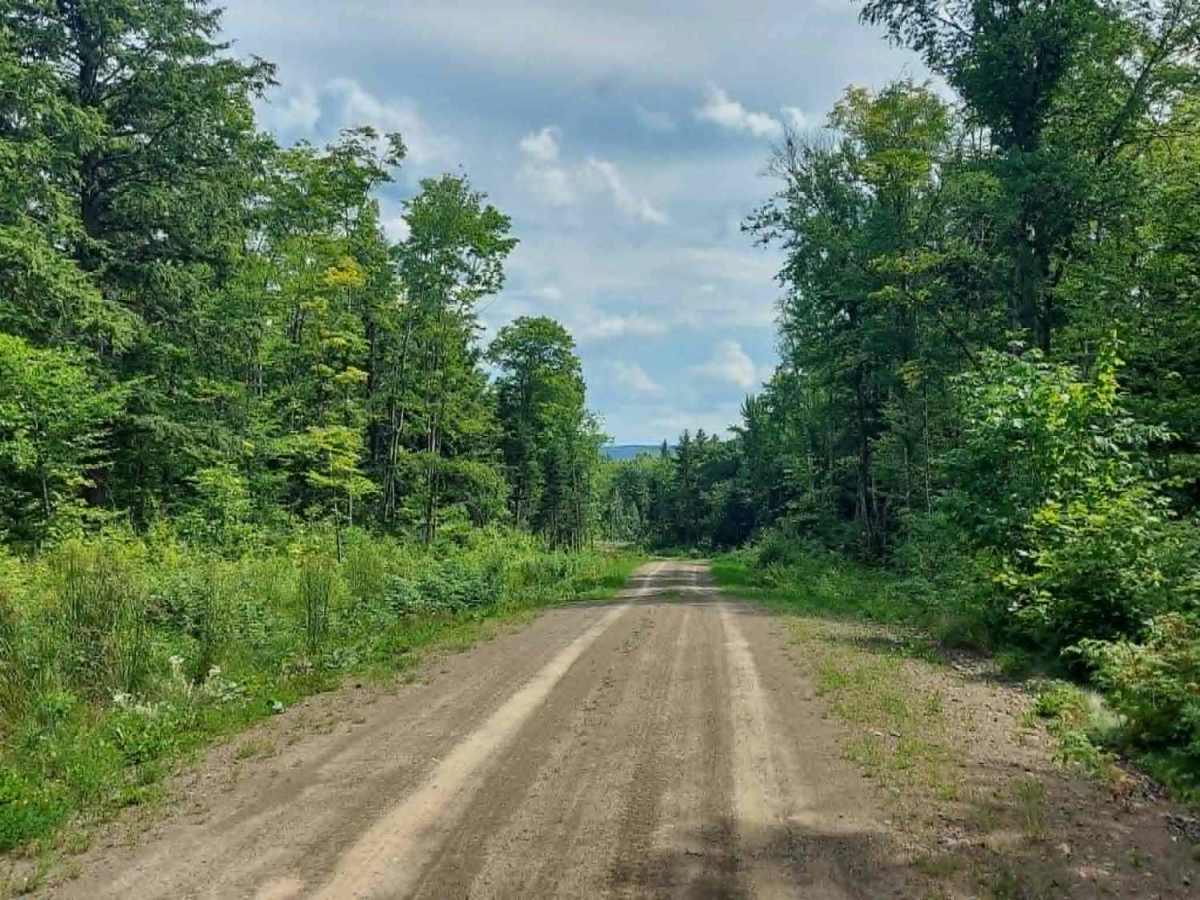 SCOPAN Slip Road photo 3