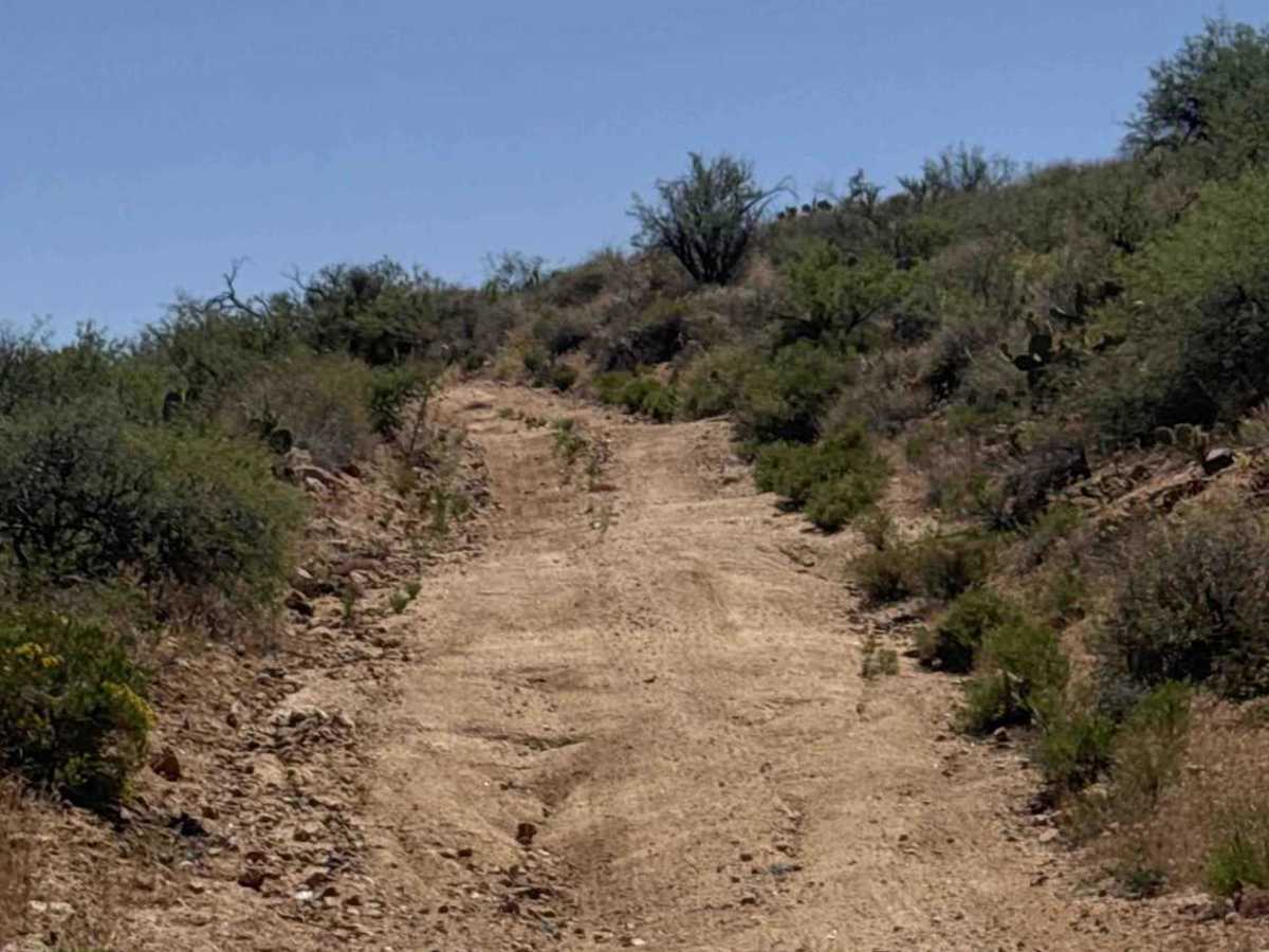 BLM 30023 photo 4