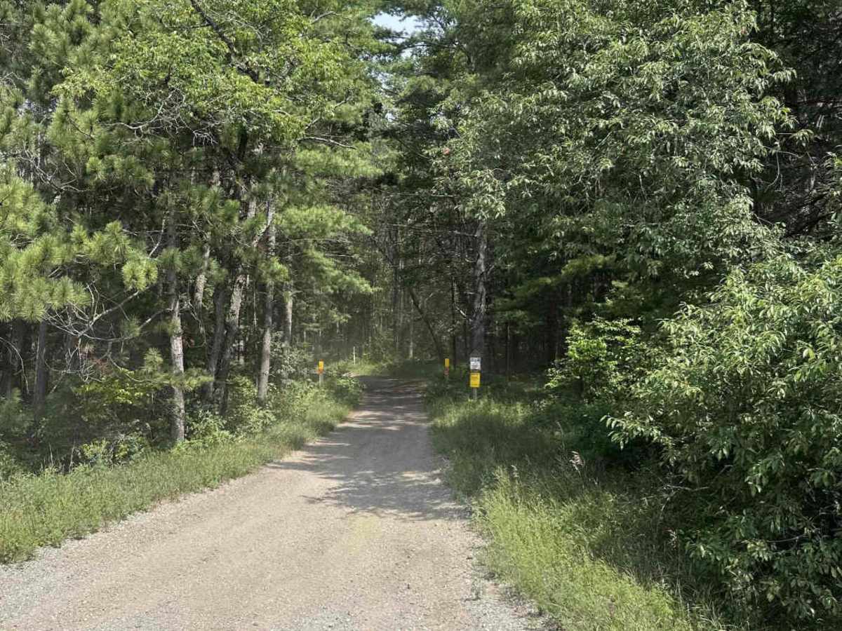 Alcona H7 photo 2