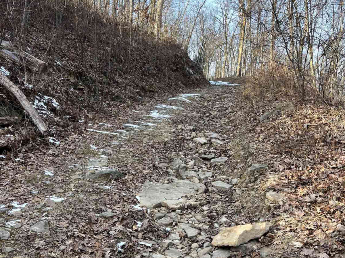 Eddy Lick Ford photo 3