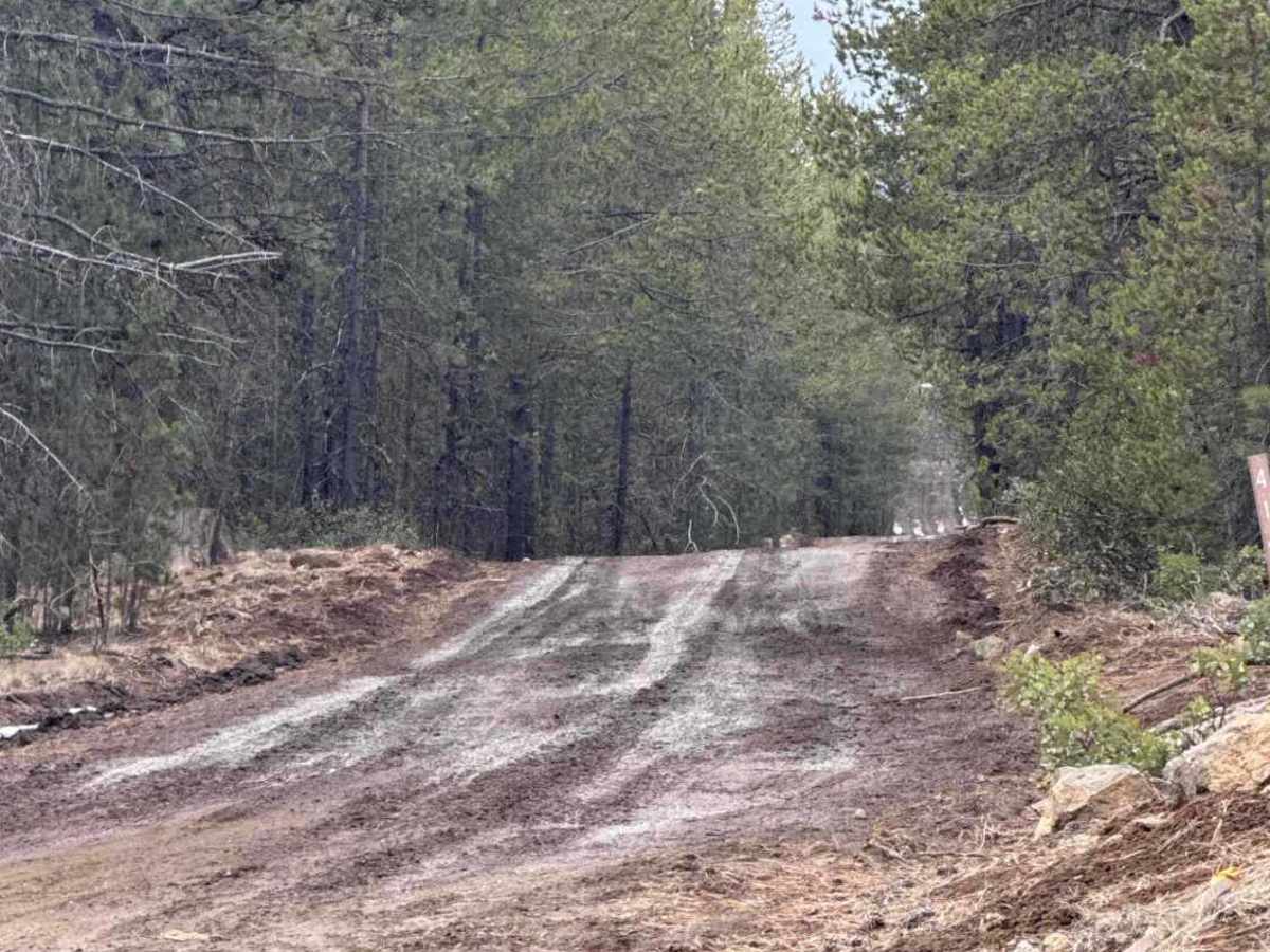 FS 4140-000 trail photo