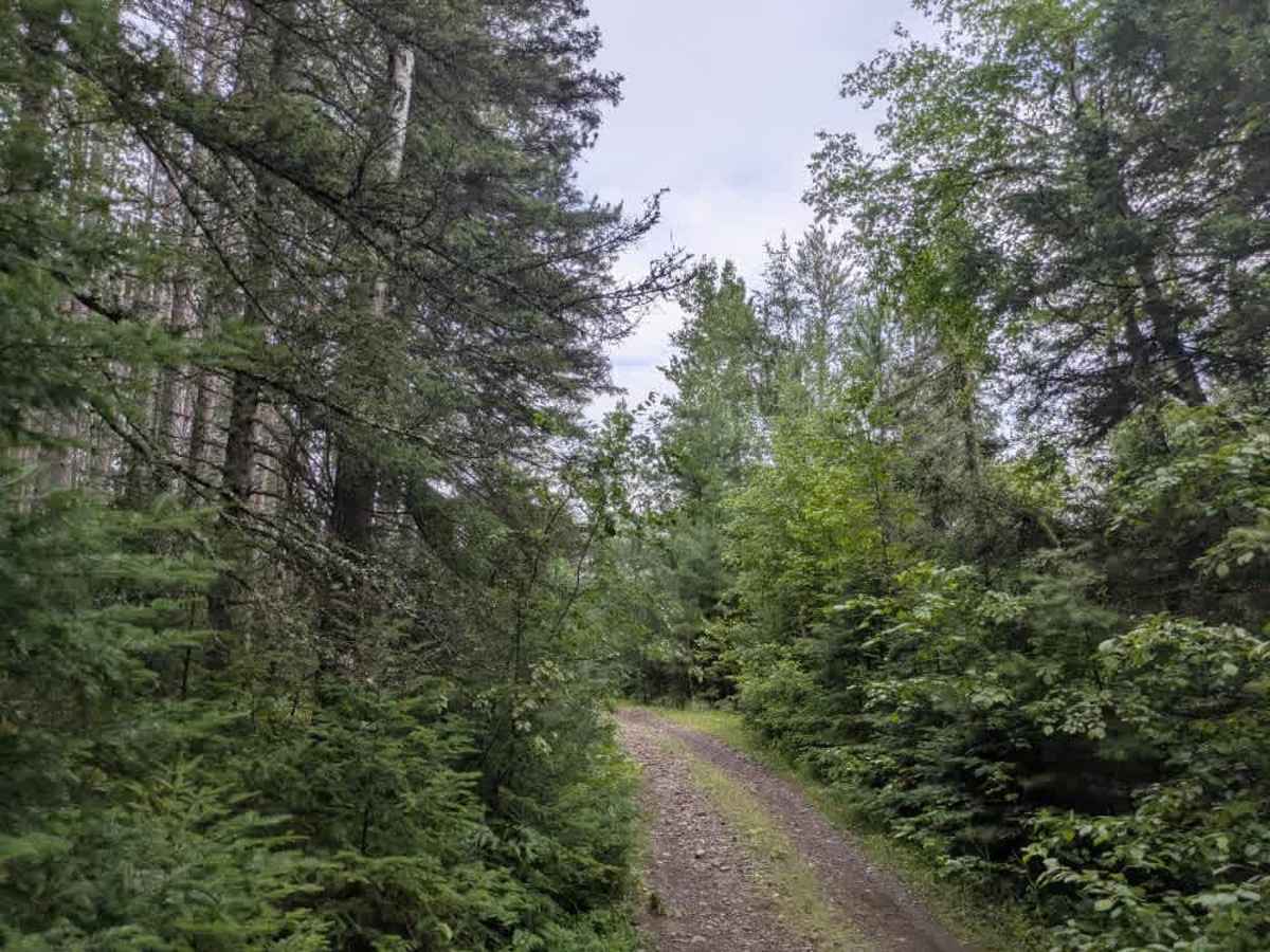 Gander Lake photo 5