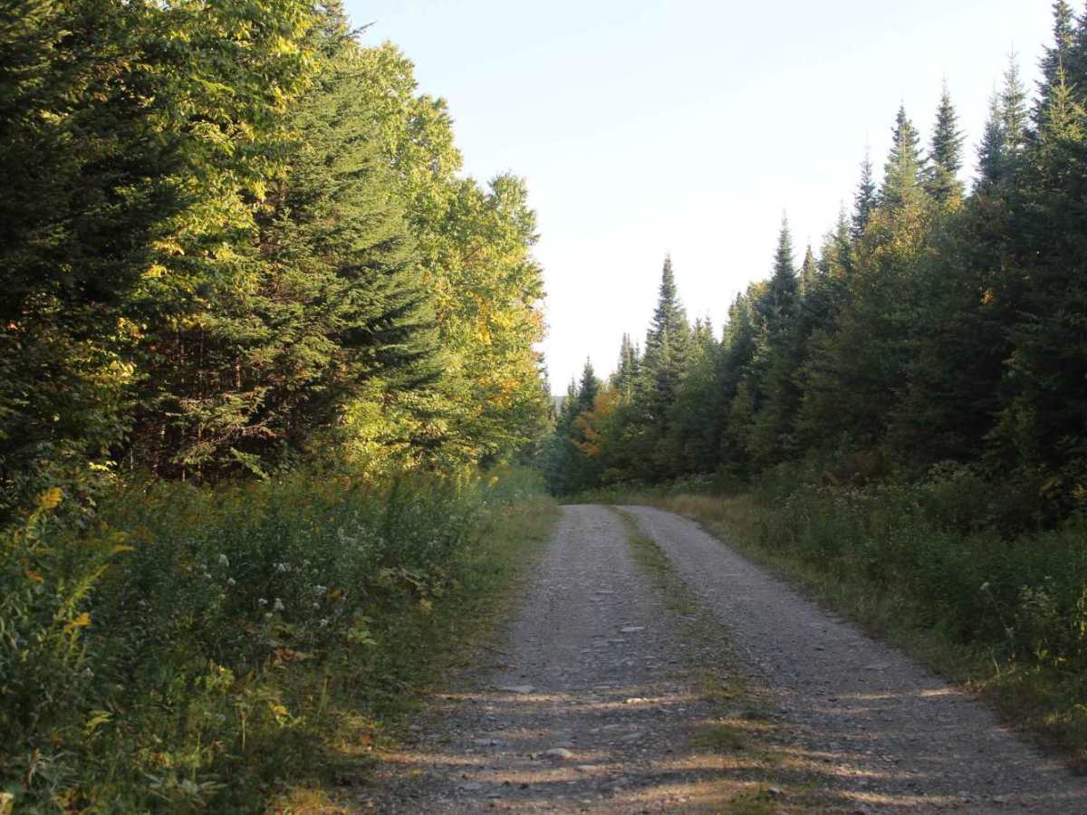 Stub Hill Road photo 5