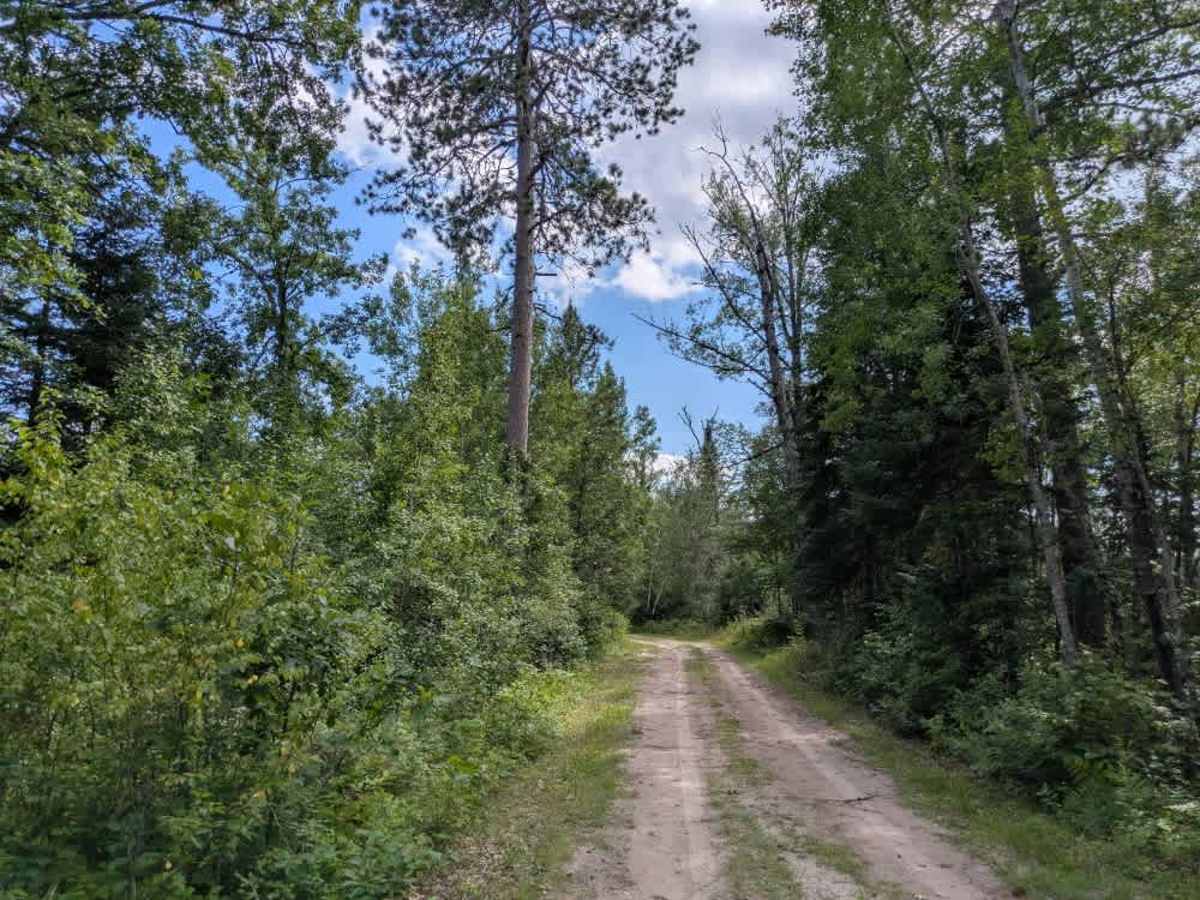  North Winnie Camp Lane photo 6