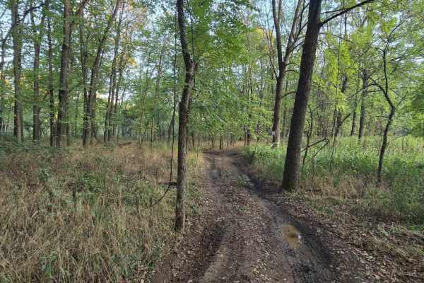 Paw Paw Path
