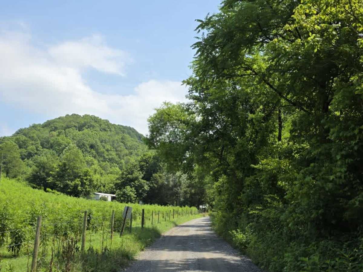 Wilmore Hollow Road - Macon County Tour photo 4