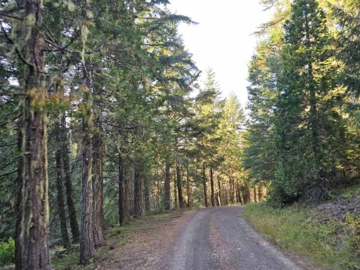 3200620 trail photo