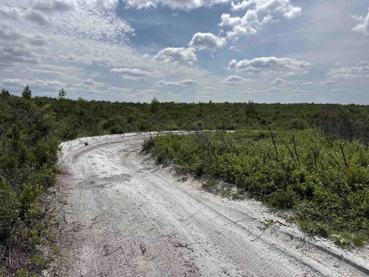 Cablegate Road trail photo