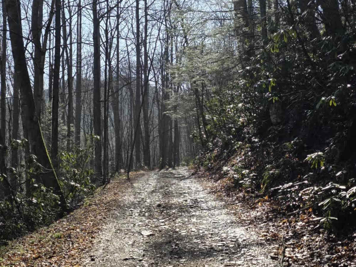 Gentry Creek photo 4
