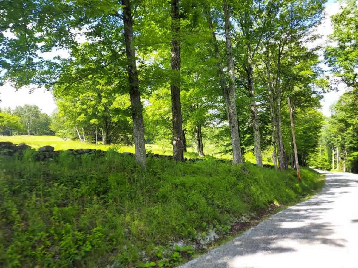 Lynds Hill Road trail photo
