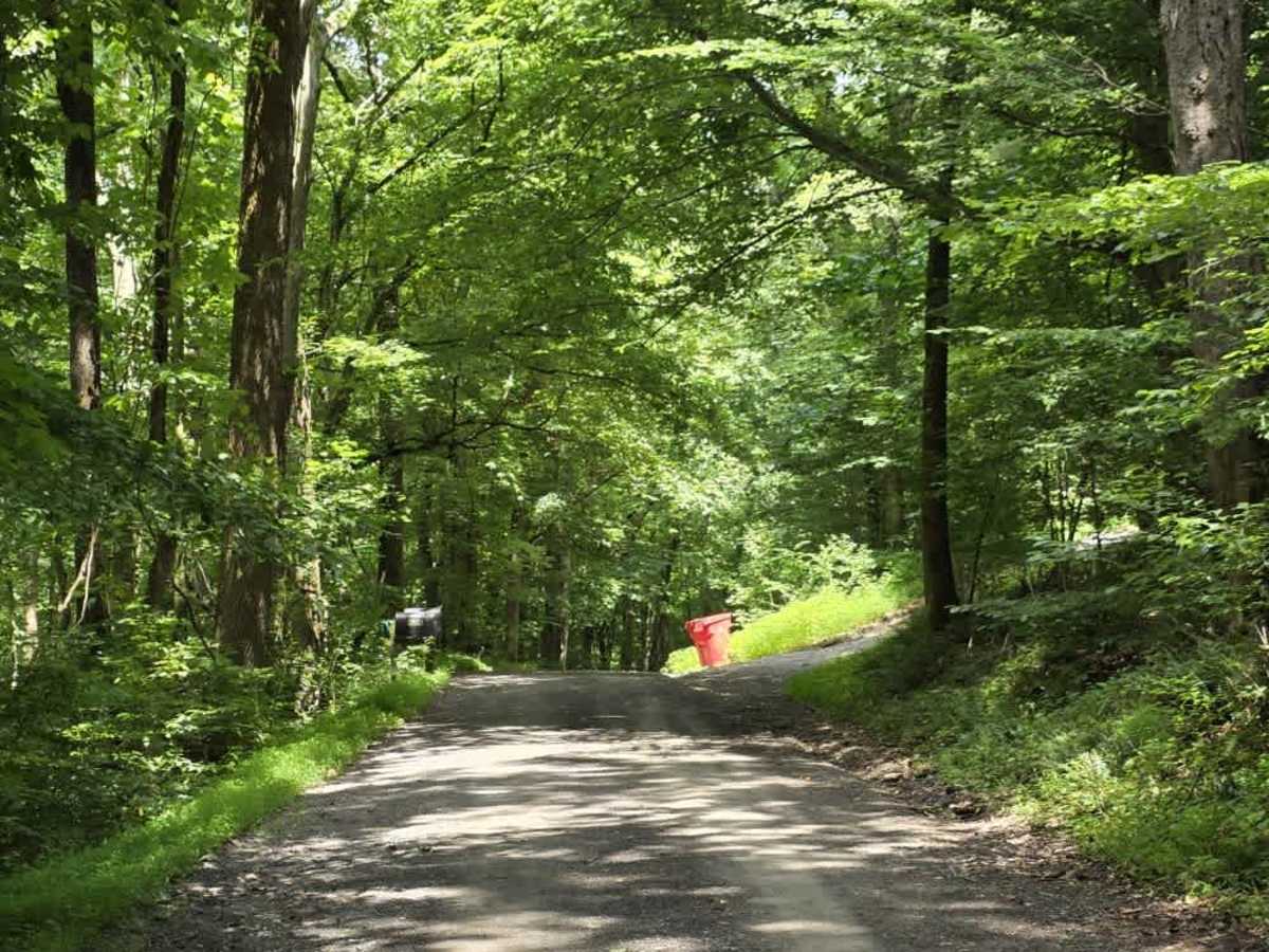 Spring Hollow Road - Macon County Tour trail photo