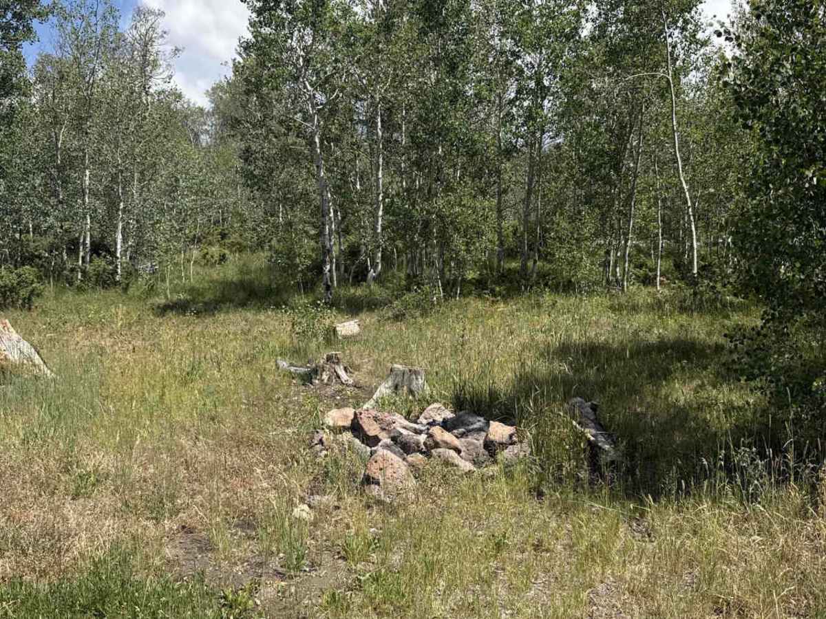 Fox Loop - BLM 2758 photo 6