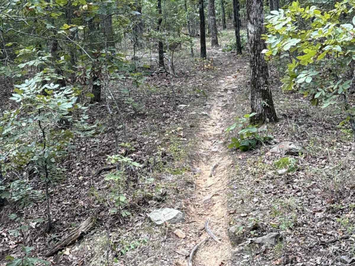 Keola Run trail photo
