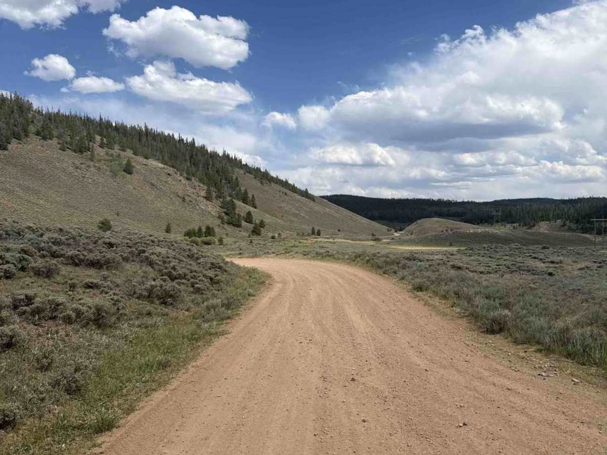 Old Highway Road - FS 206 trail photo