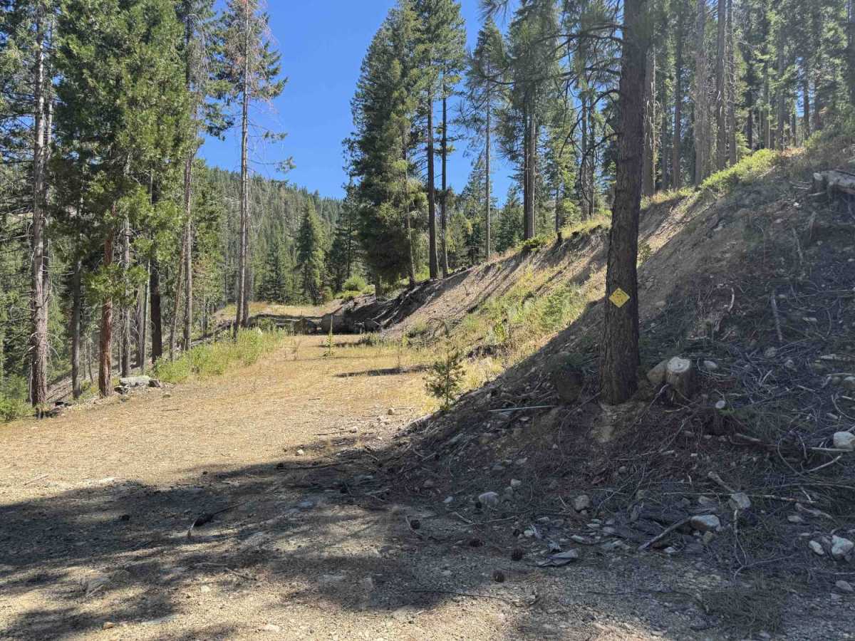 Kangaroo Creek - FS 40N08 photo 3