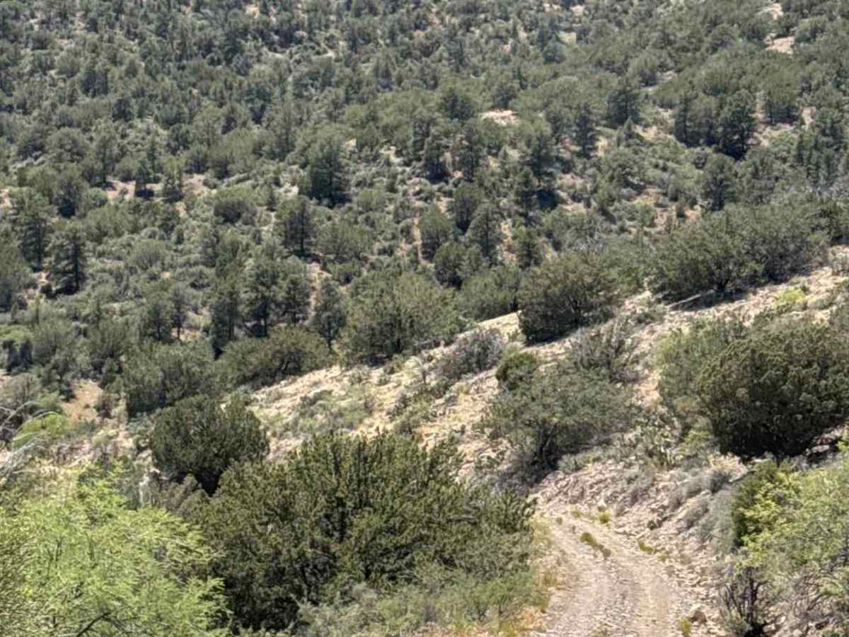 Porcupine Peak Canyon - FS 9602N photo 5