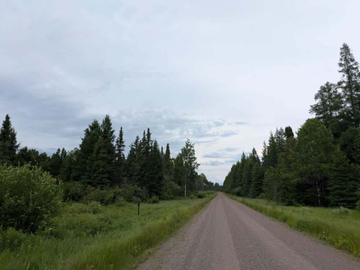 Stony River Forest Road photo 5