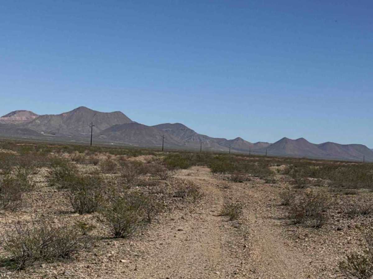Sa1065 trail photo