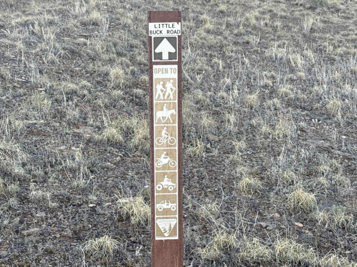 Little Buck Road photo 3