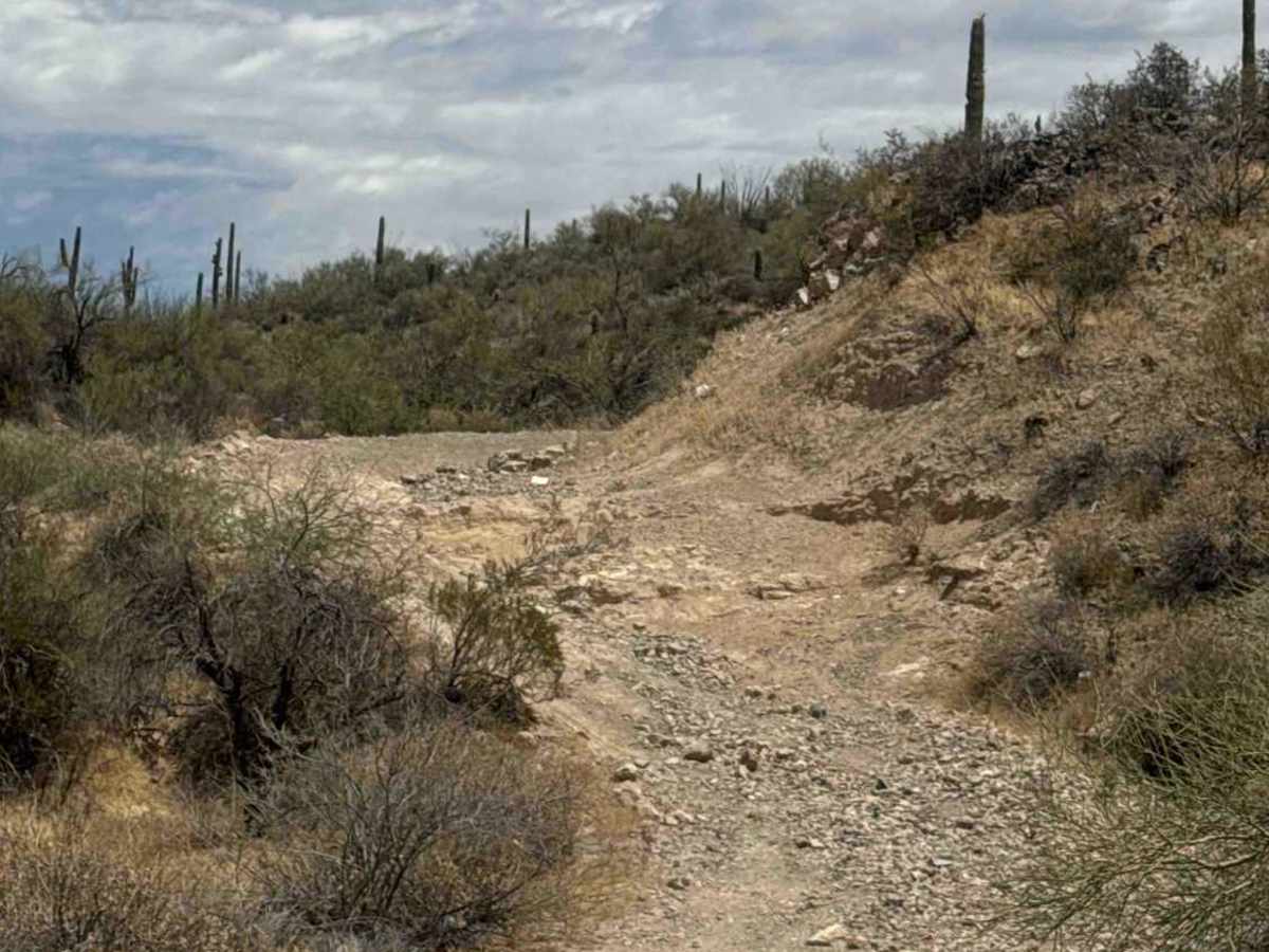 Gasline Pucker  photo 4