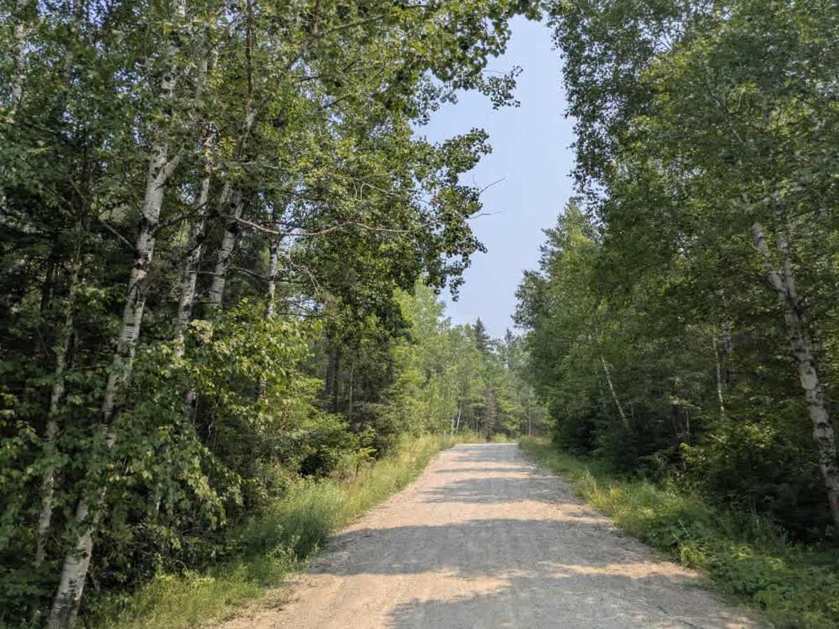 FS 459 trail photo