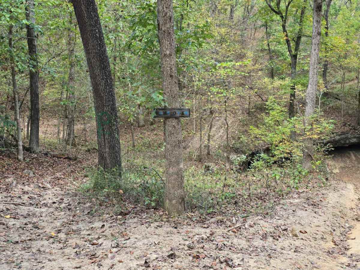 Hungover Trail trail photo