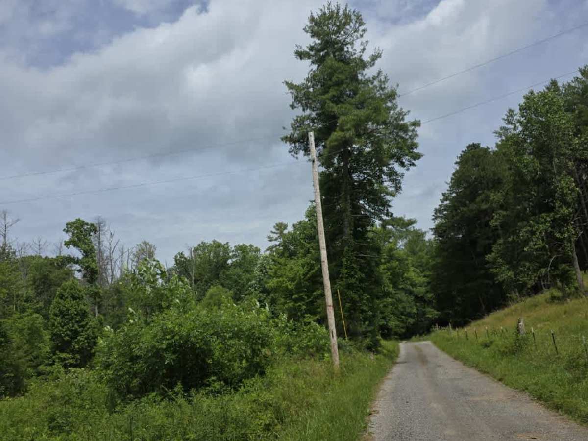 Pilgrim Lane trail photo
