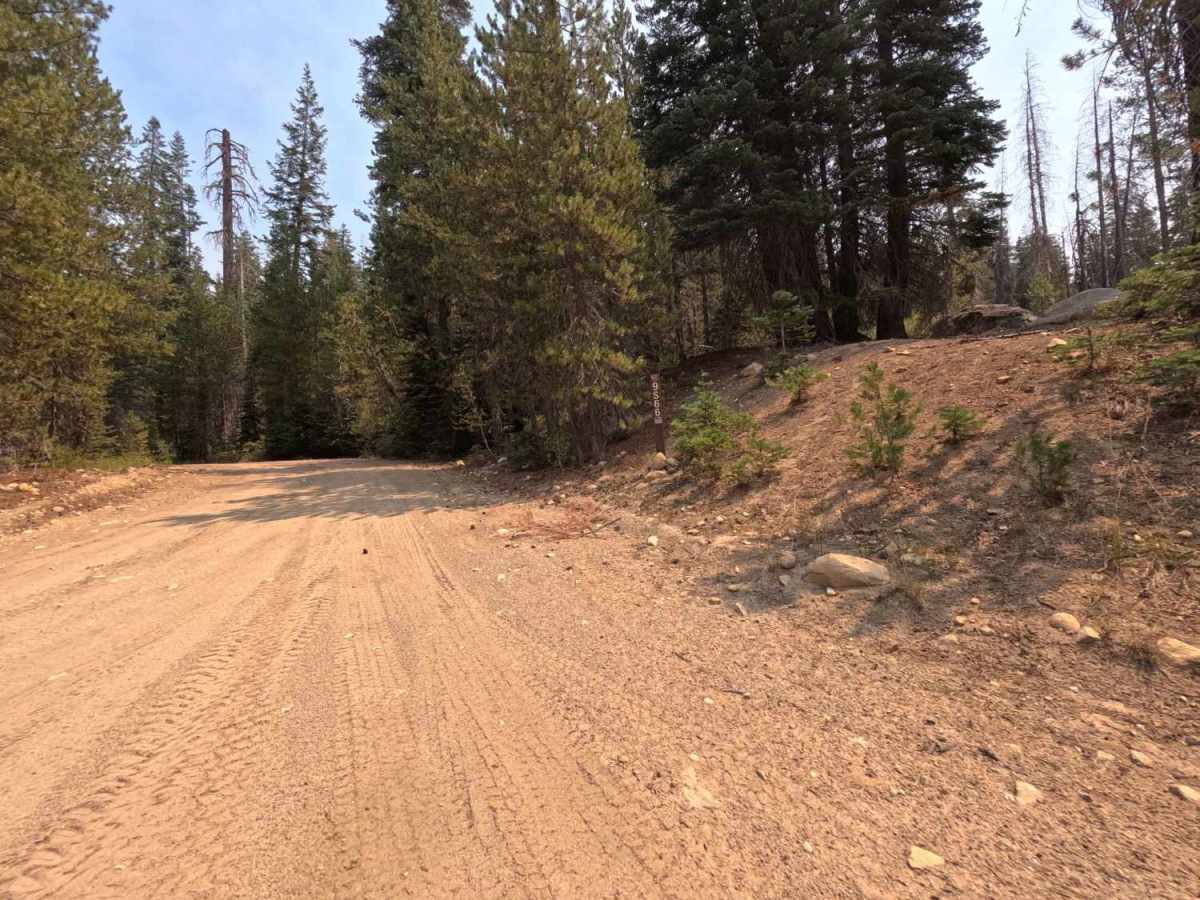 Tamarack Creek - FS 9s066 photo 2