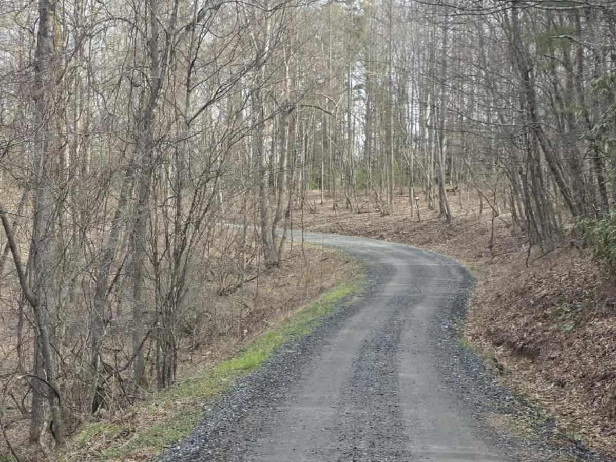 Ephraim Road - FS 5583 photo 3