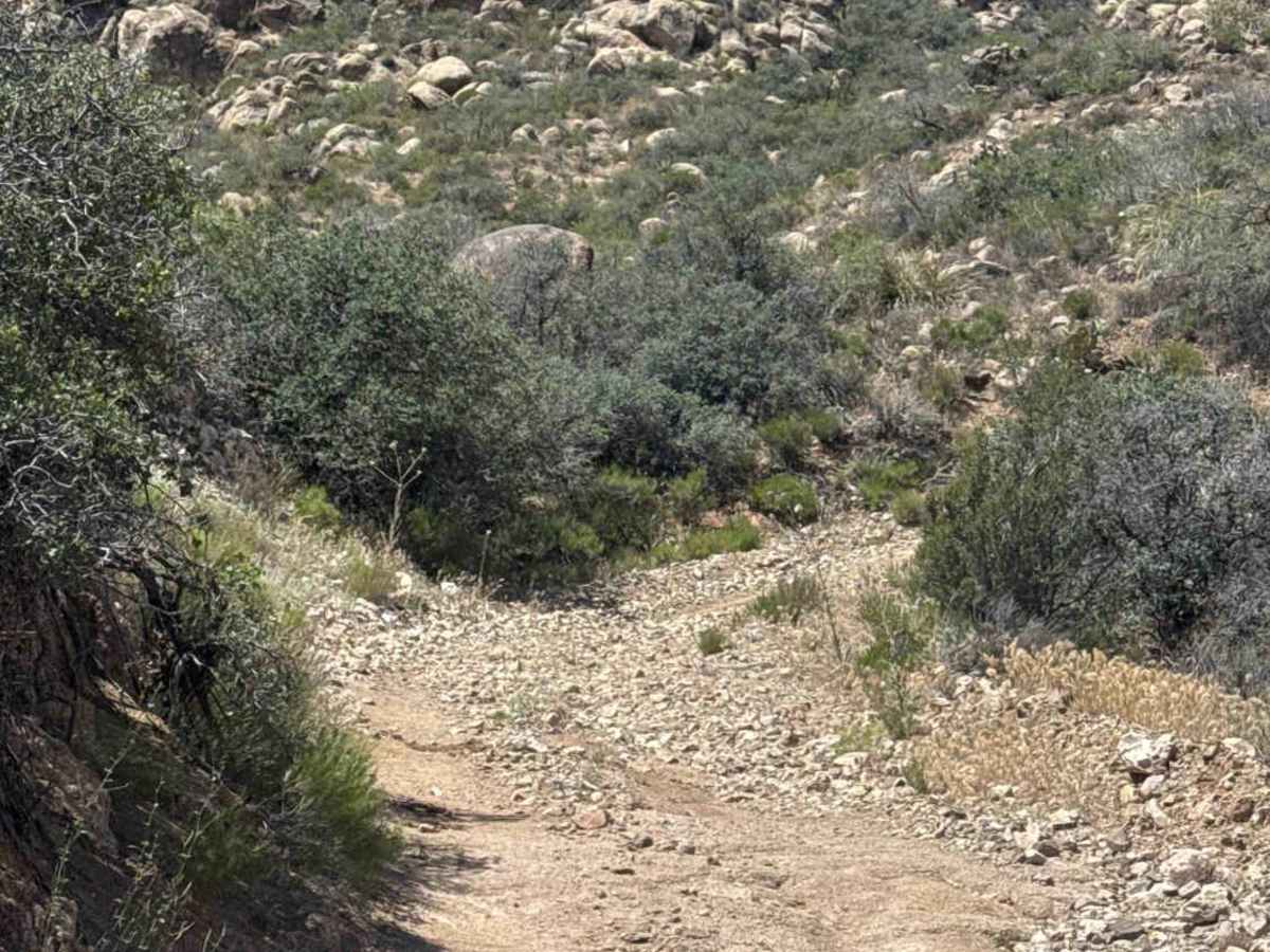 Dry Tank Ridge  photo 3