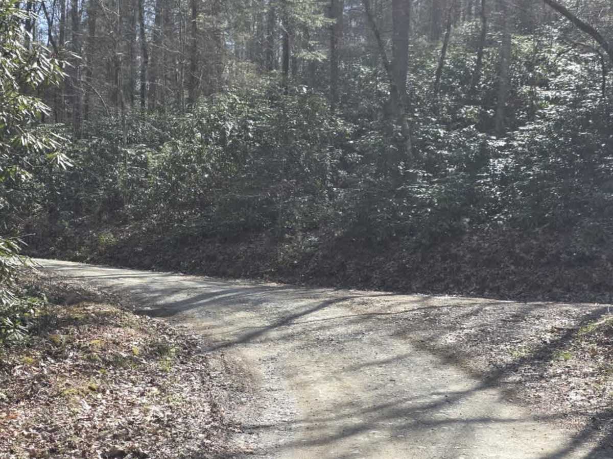 Old Flatwoods photo 5