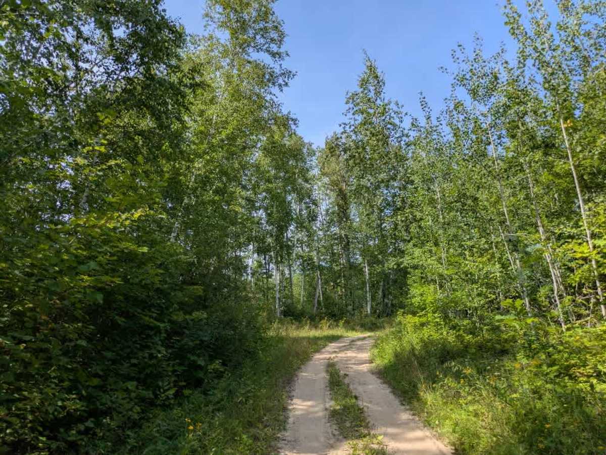 Hungry Gulch Road photo 6